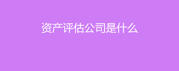 資產評估公司及其服務解析